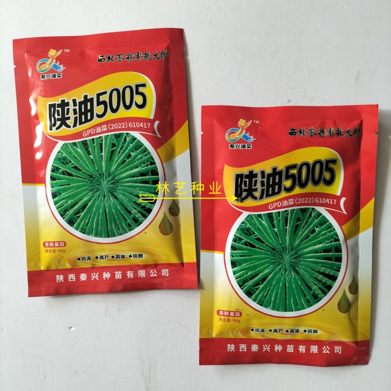 陕油5005油菜种子三系杂交高产高油矮杆抗病抗寒抗倒