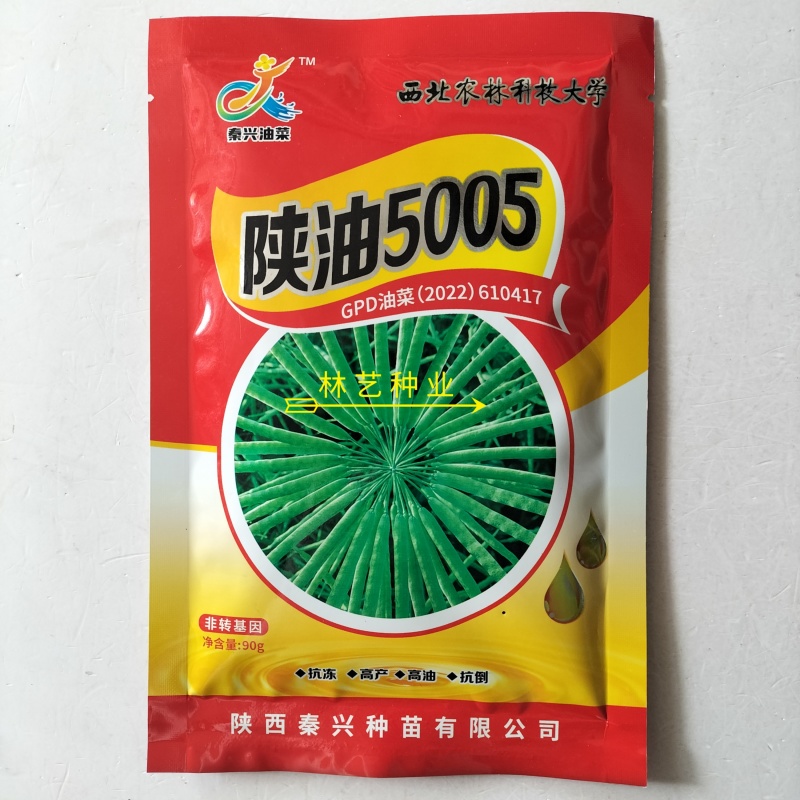陕油5005油菜种子三系杂交高产高油矮杆抗病抗寒抗倒
