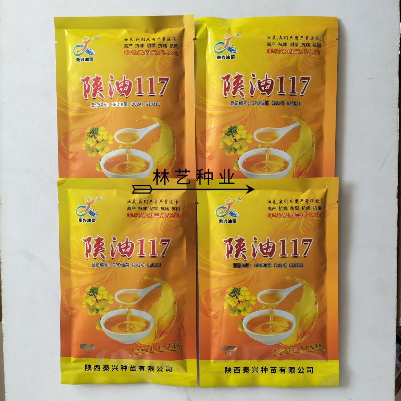 陕油117三系杂交油菜种子西北农科大高产耐寒耐旱