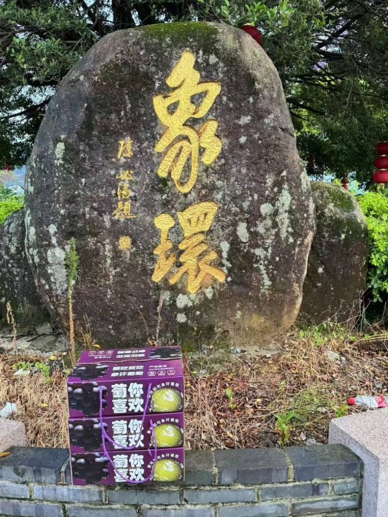 福安巨峰葡萄散串礼盒甜度高性价比高