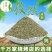 今年纯正新疆孜然香味浓郁