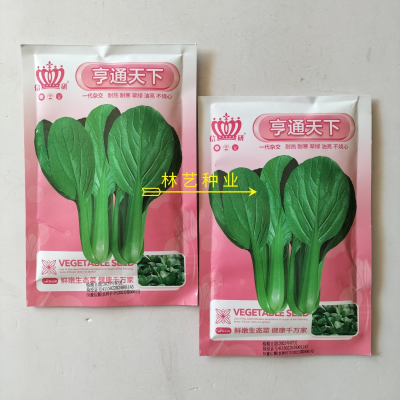 信研亨通天下小青菜种子杂交一代新品种耐热抗病外形优美蔬菜