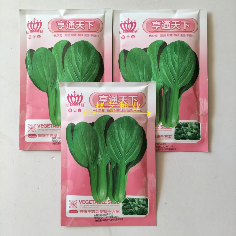 信研亨通天下小青菜种子杂交一代新品种耐热抗病外形优美蔬菜