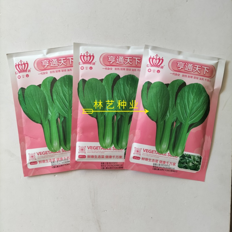 信研亨通天下小青菜种子杂交一代新品种耐热抗病外形优美蔬菜