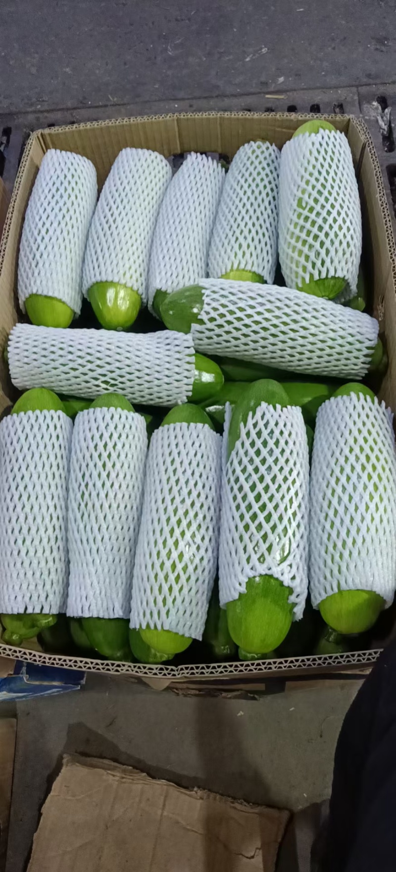 河南瓠瓜，规模种植，价格低，视频看货，线上保障交易