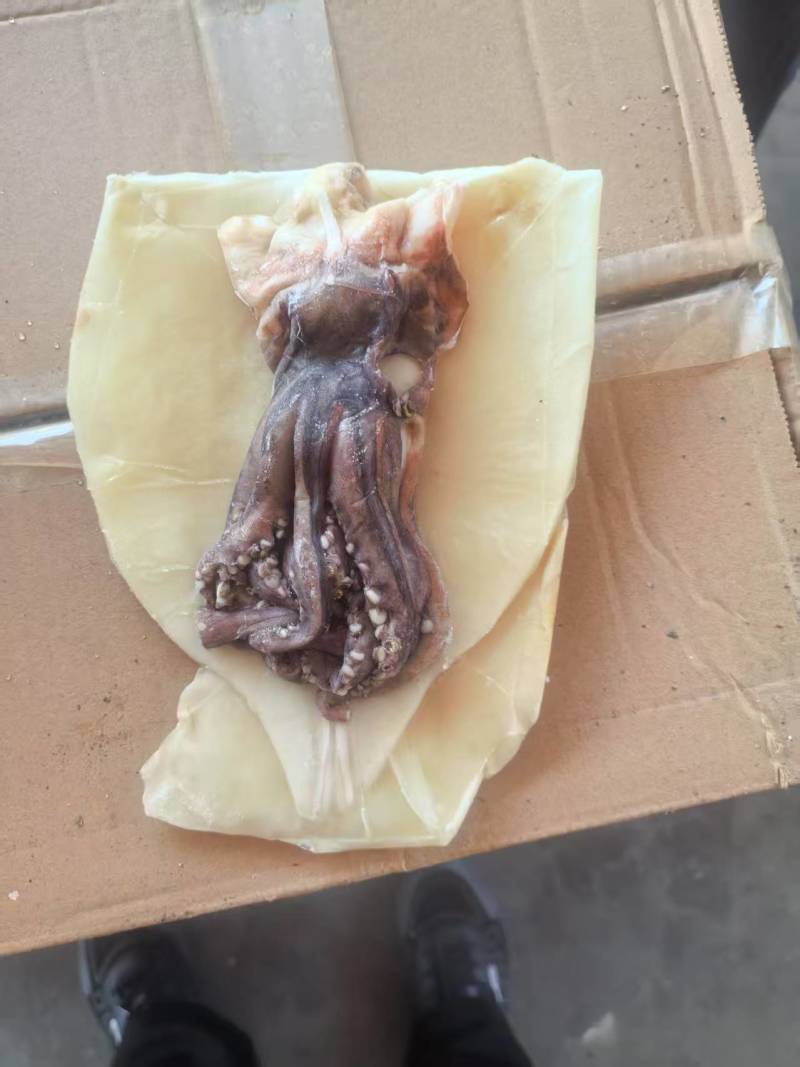 鱿鱼开片带头，单冻扒皮原汁原味