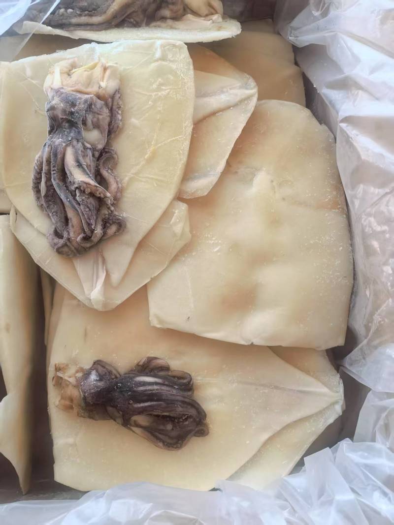 鱿鱼开片带头，单冻扒皮原汁原味