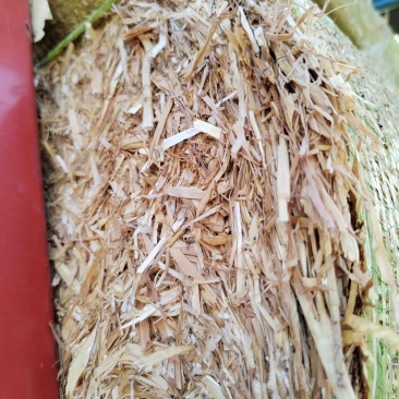 小麦秸秆，柔丝除尘风选，白干净