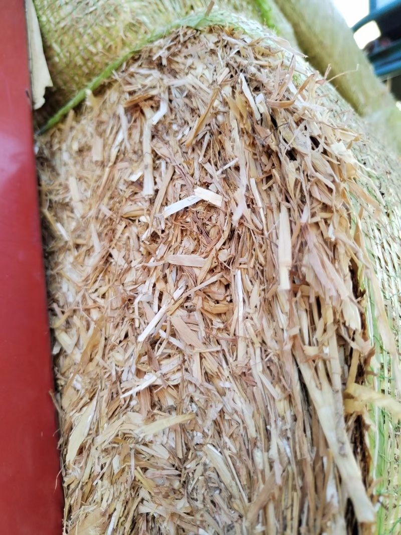 小麦秸秆，柔丝除尘风选，白干净