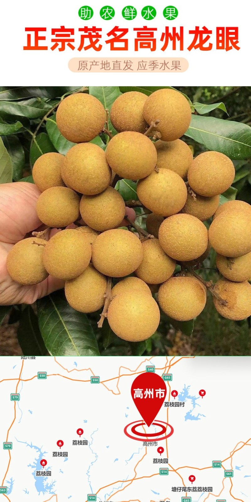 高州龙眼