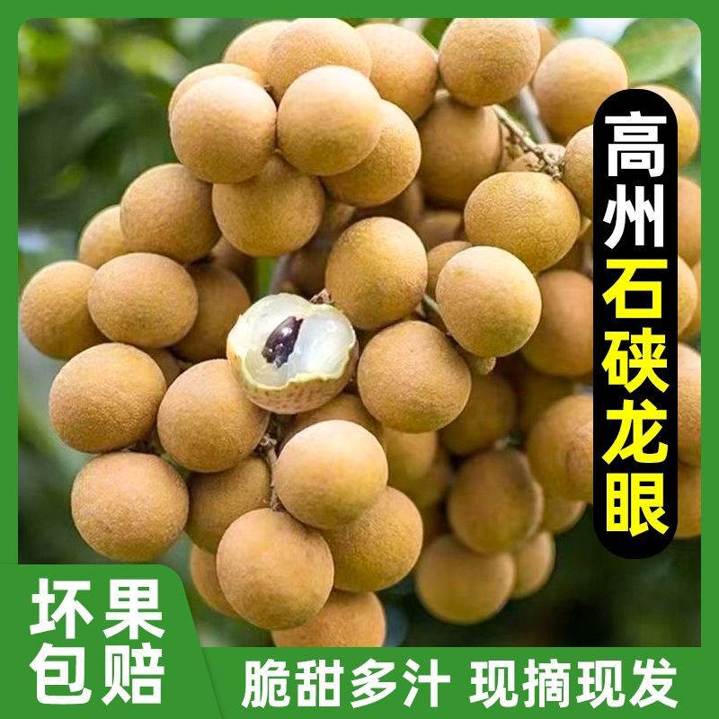 高州龙眼