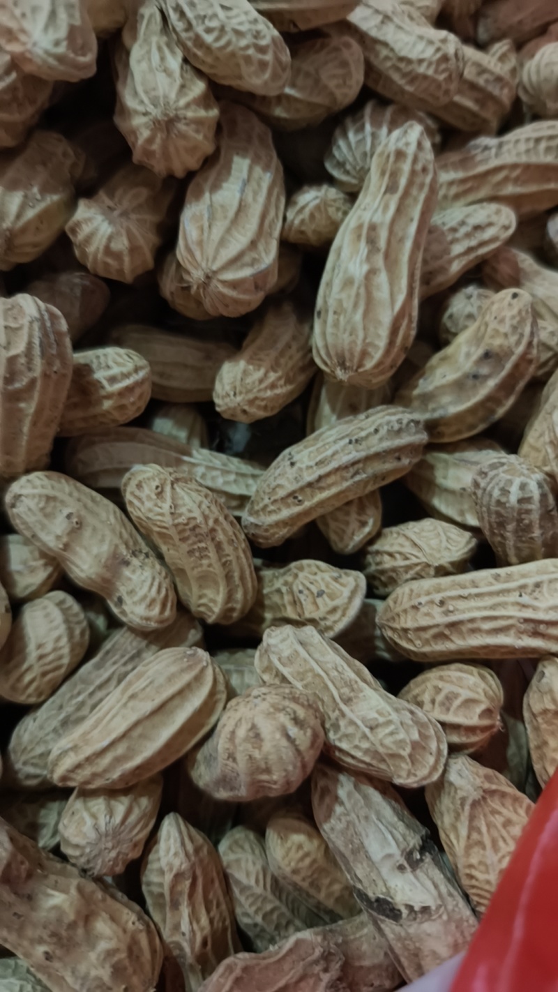 处理存货七彩花生