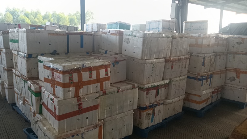大量供应广西桂林的精品百香果，空运物流，快递全国发货。