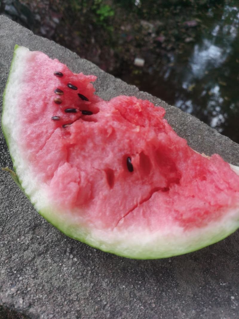 美都西瓜