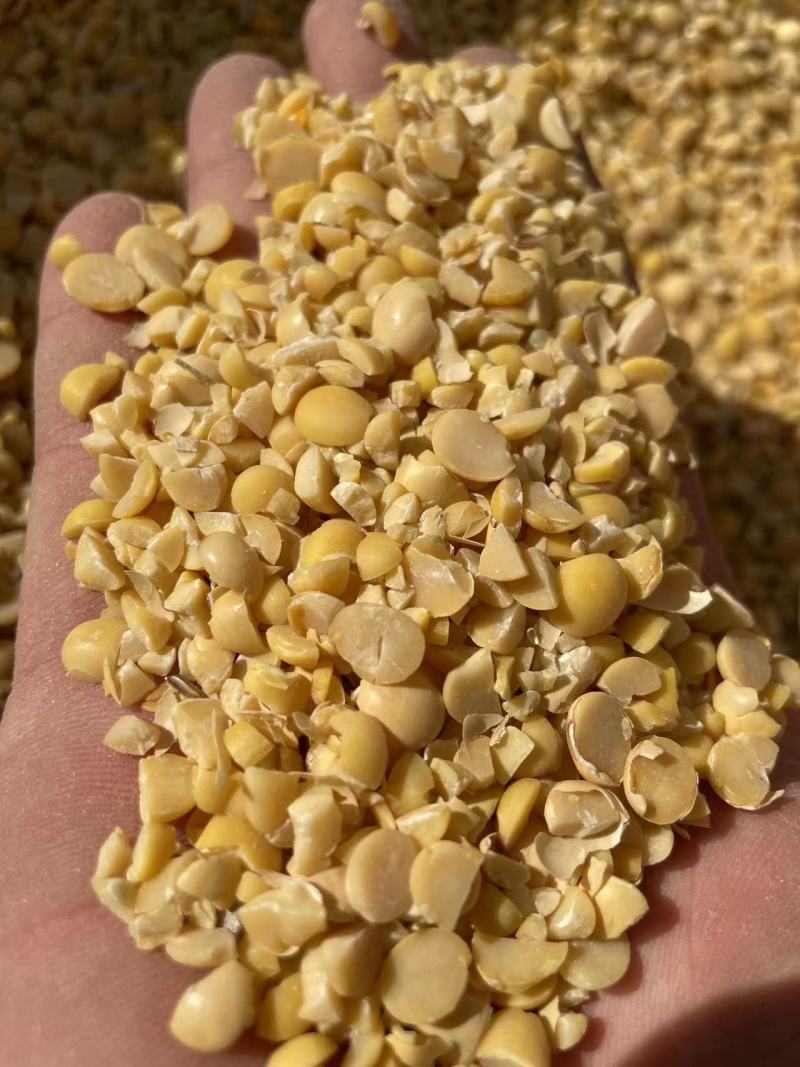 黄豆瓣碎黄豆上地施肥专用价格合适质量保证