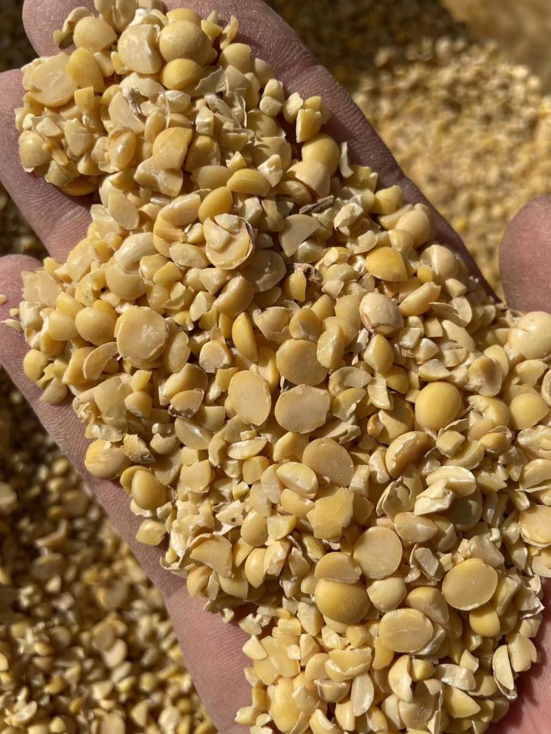 黄豆瓣碎黄豆上地施肥专用价格合适质量保证