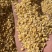 黄豆瓣碎黄豆上地施肥专用价格合适质量保证