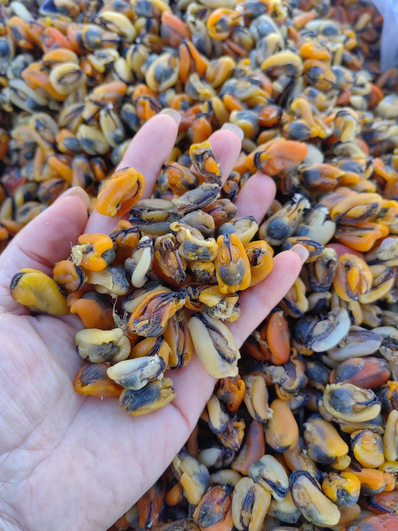 海虹干，淡菜干，做菜煲汤皆可