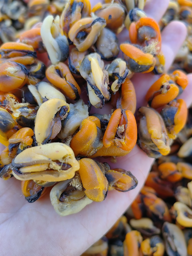 海虹干，淡菜干，做菜煲汤皆可
