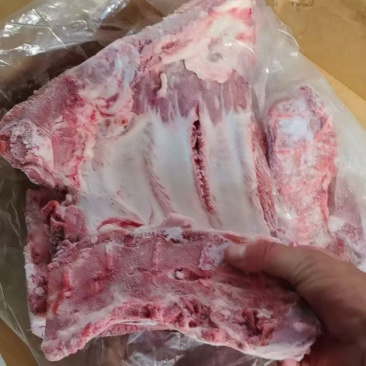 母猪去劲前排