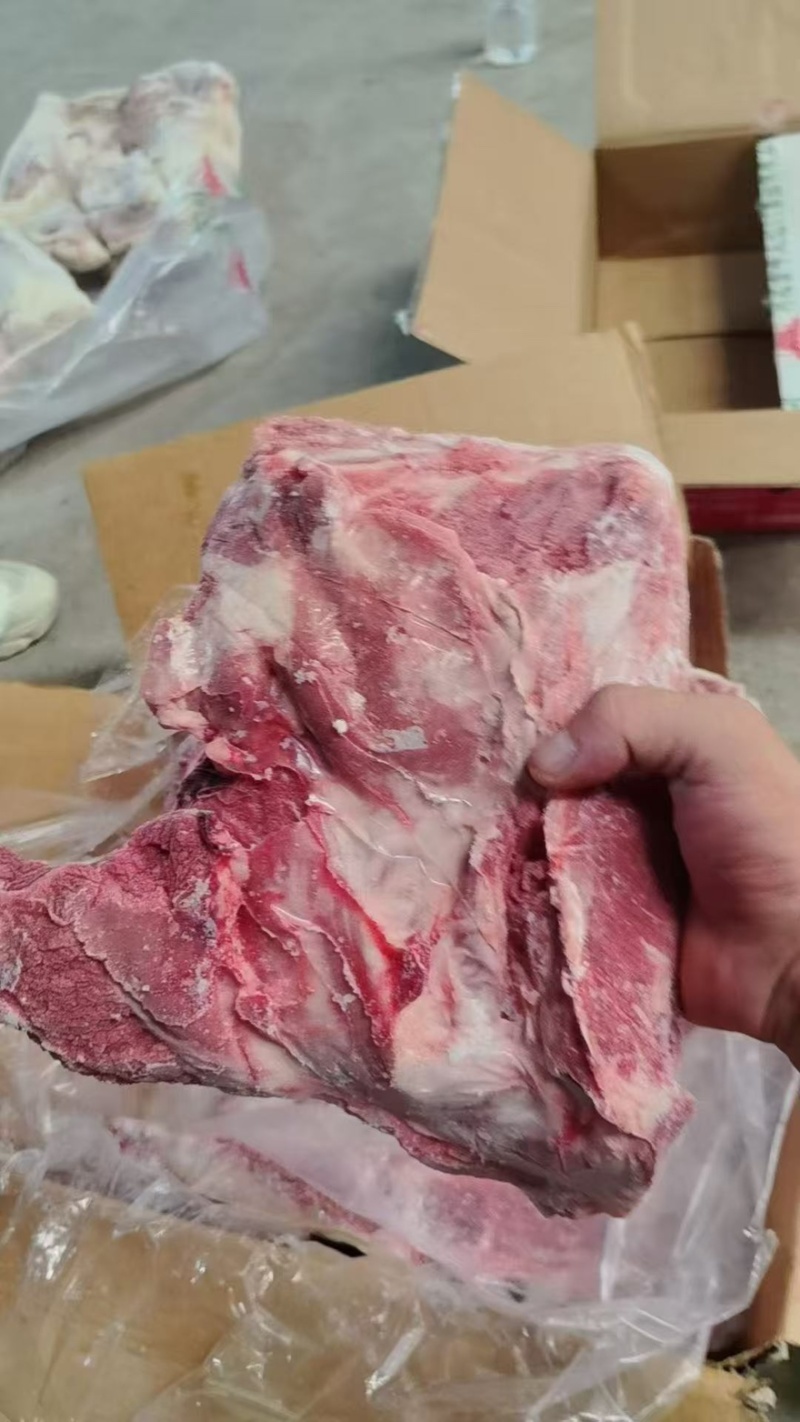 母猪去劲前排