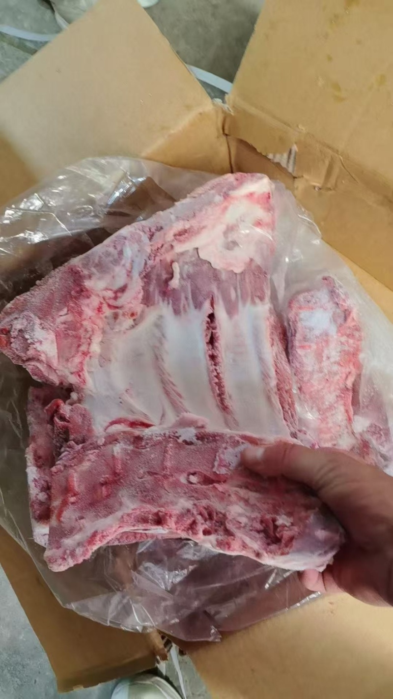 母猪去劲前排