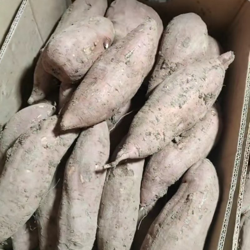 精品白哈密红薯，甜度高，质量好，适合电商团购，易储存
