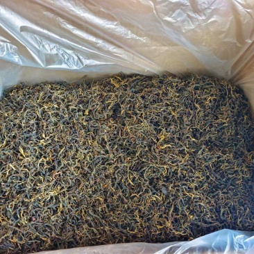 忙肺古树红茶