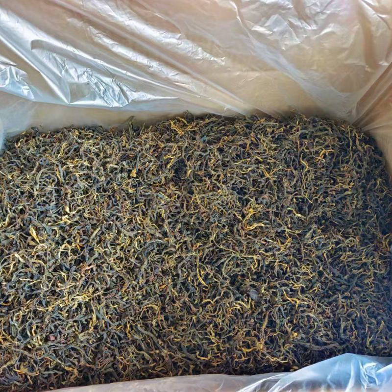 忙肺古树红茶