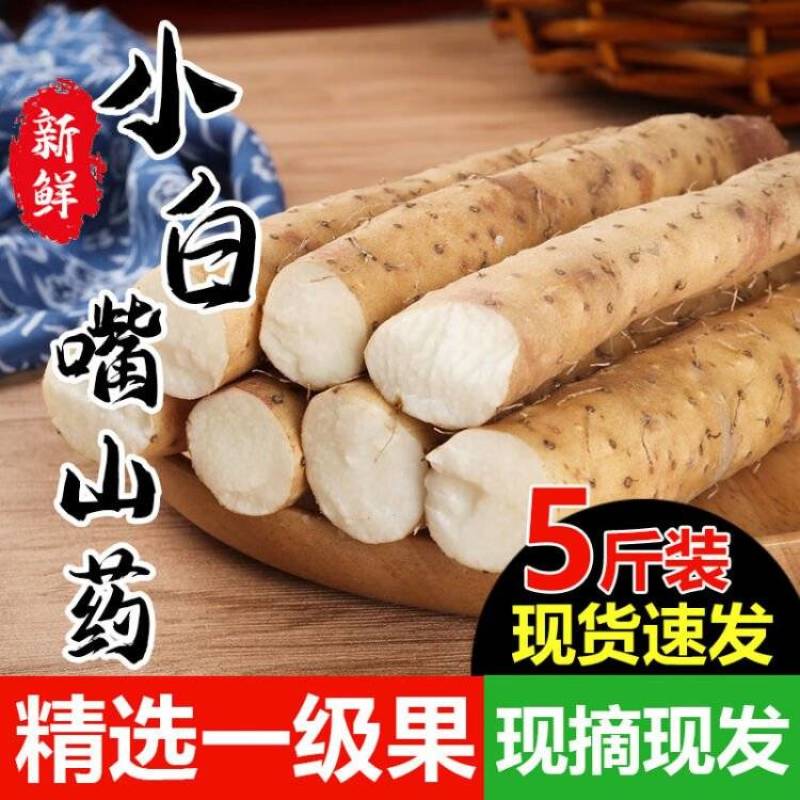 小白嘴山药产地直供，对接全国各大批发市场超市，电商团购。