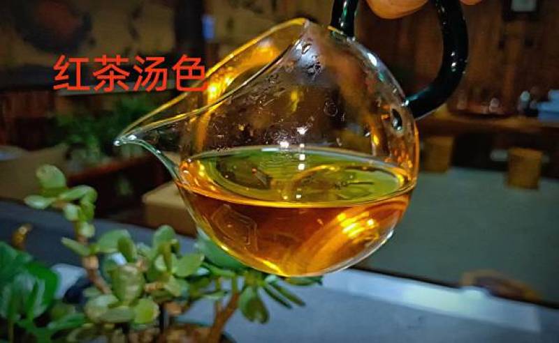 忙肺古树红茶