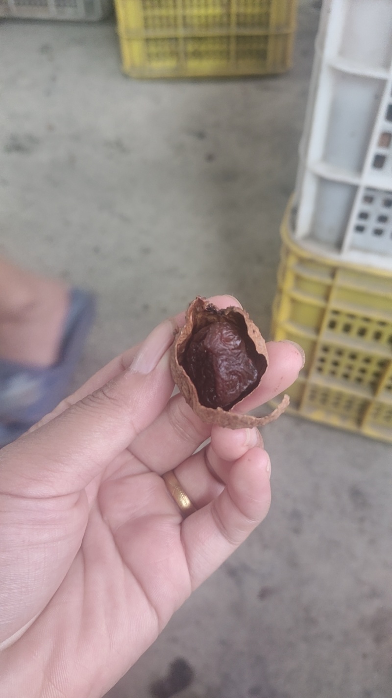 桂味荔枝干