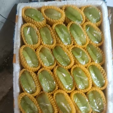 杨桃