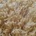 贵阳绿豆芽大量现货厂家直发量大从优欢迎订购
