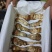 小金松茸
