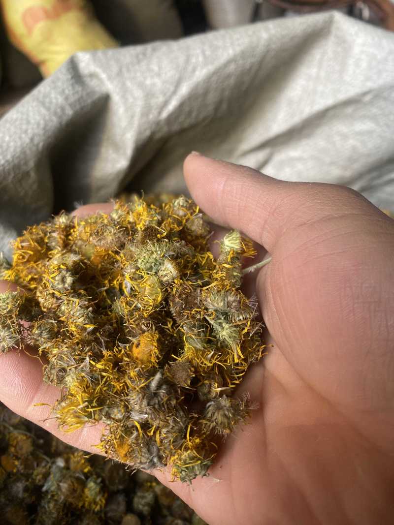 陕西野生旋覆花产地直发