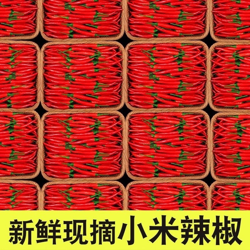新鲜农家现摘小米椒朝天椒薄皮红辣椒