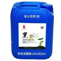 黑金液体菌剂预防枯萎病黄萎病立枯病叶斑病病毒病及线虫