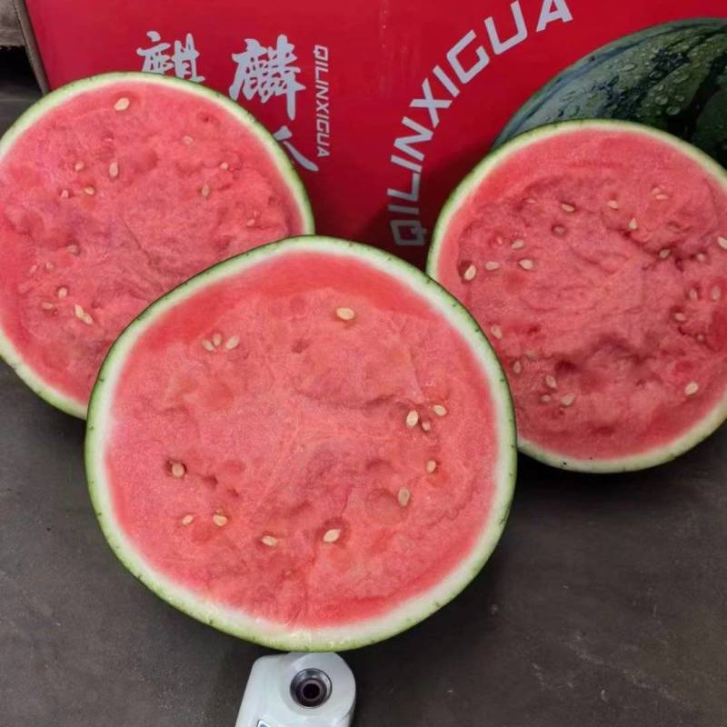 美都麒麟