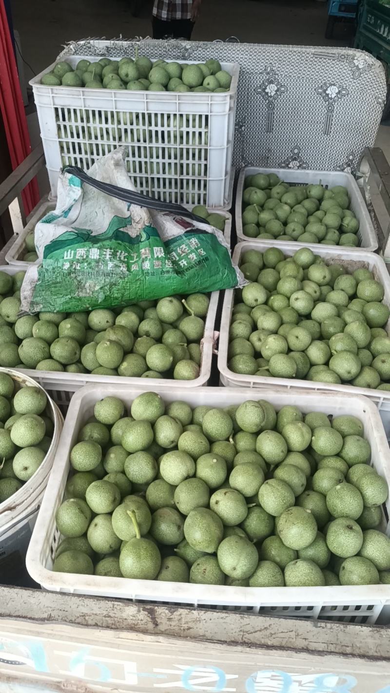 青皮核桃