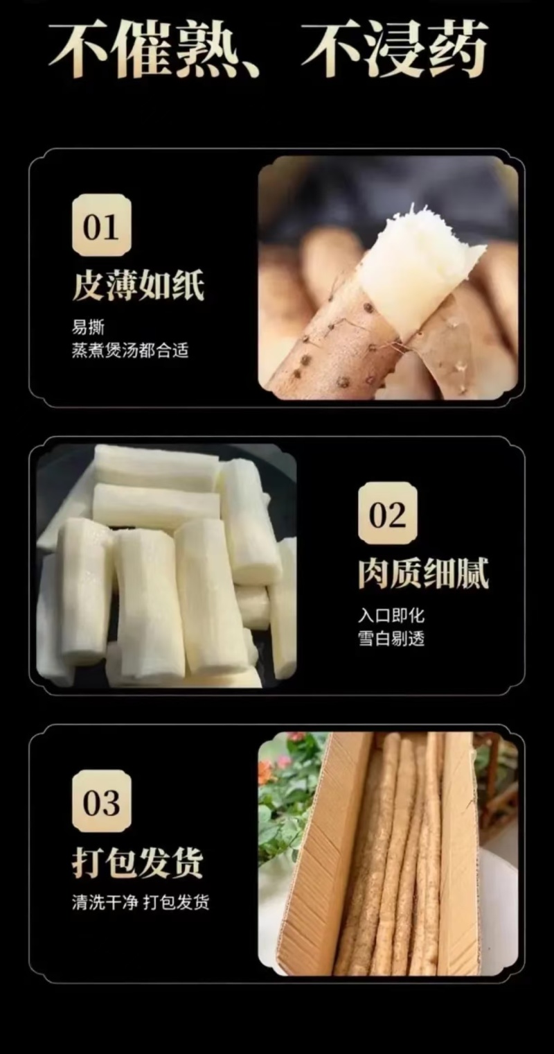 小白嘴山药，精品网袋，产地直供。大量现货，一手货源