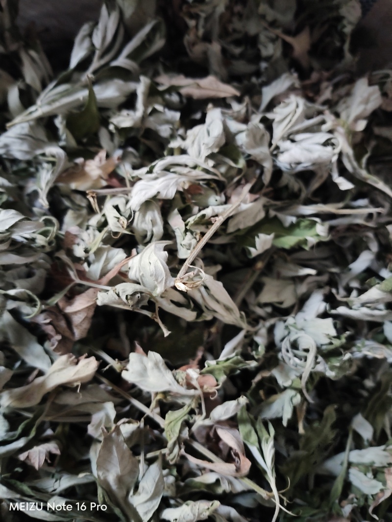 湖北艾叶南阳艾叶艾叶干货大艾叶陈艾端午艾艾灸艾绒艾草蕲艾