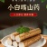 小白嘴山药产地直供，对接全国各大批发市场超市，电商团购。