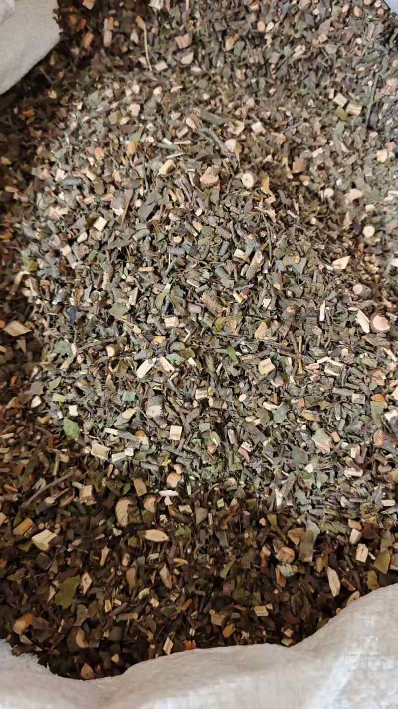 桑寄生地道桑寄生一分钱一分货2斤包邮量大优惠