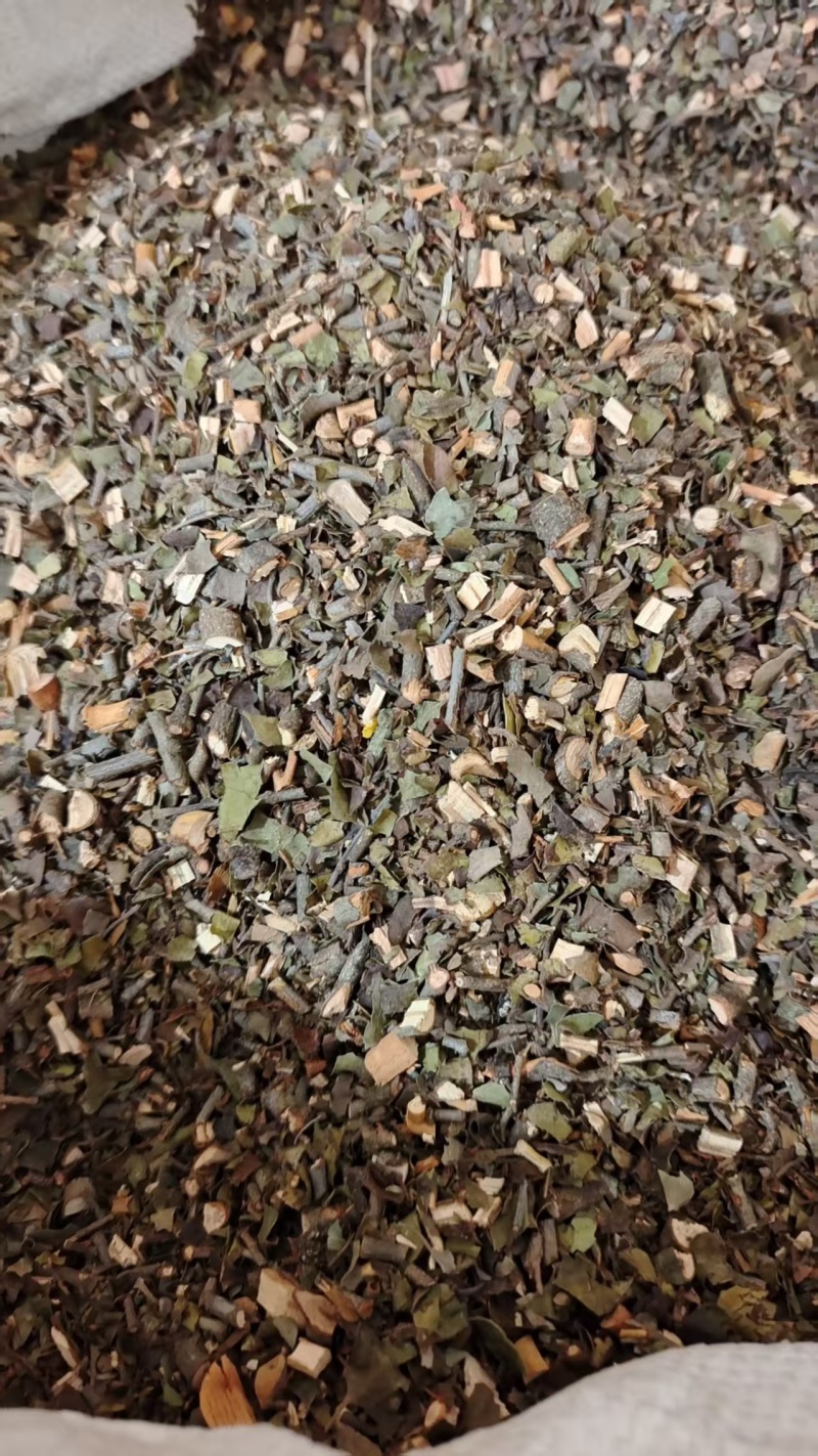 桑寄生地道桑寄生一分钱一分货2斤包邮量大优惠