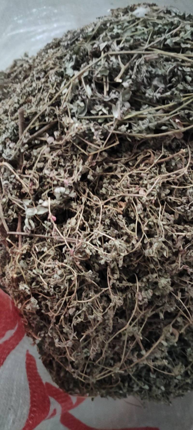 地锦草野生货干净无杂质周边老百姓地里割的人工挑选产地直发