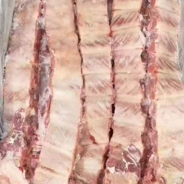 窄寸排