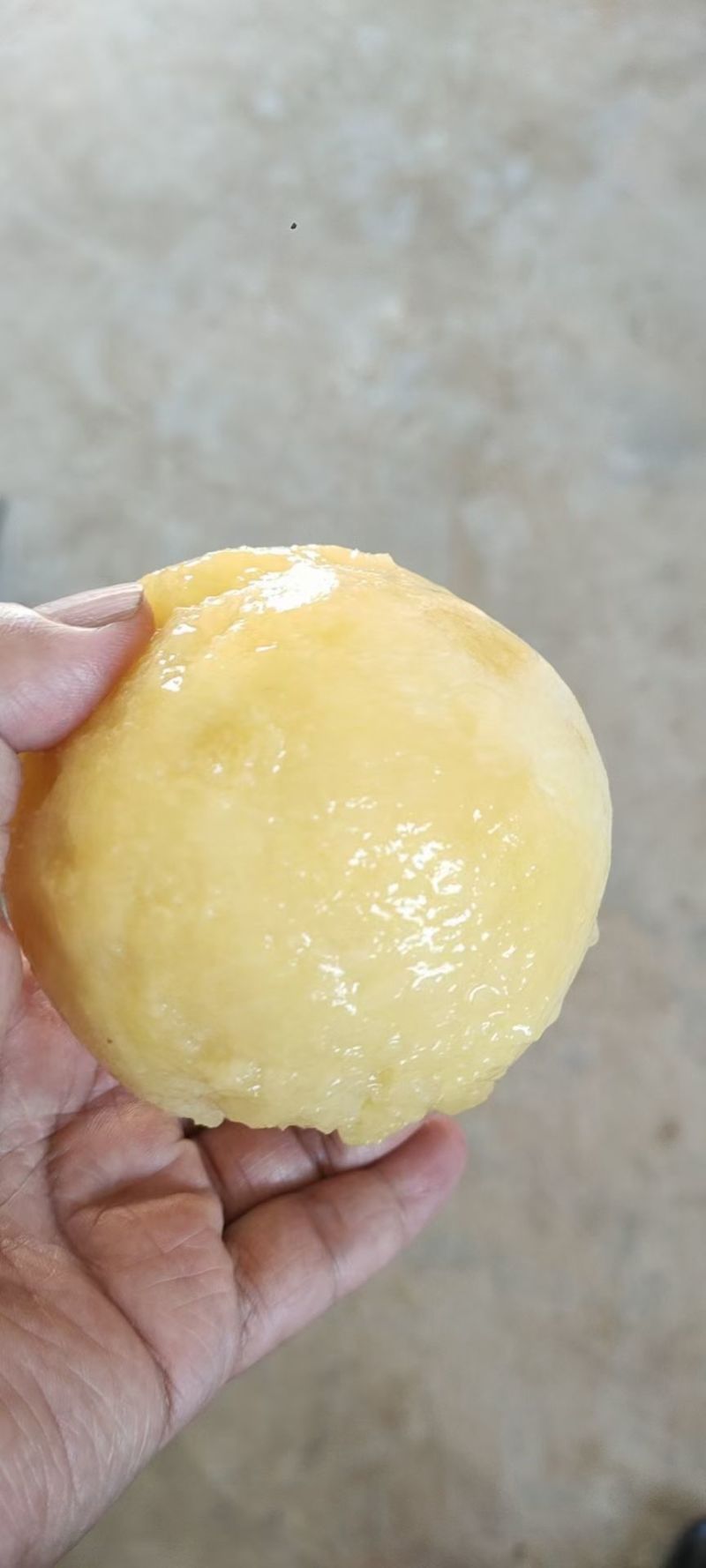 阳山水蜜桃，河南驻马店