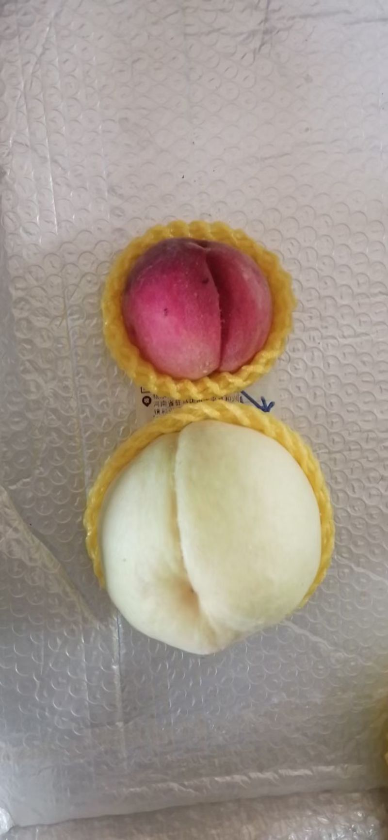 阳山水蜜桃，河南驻马店