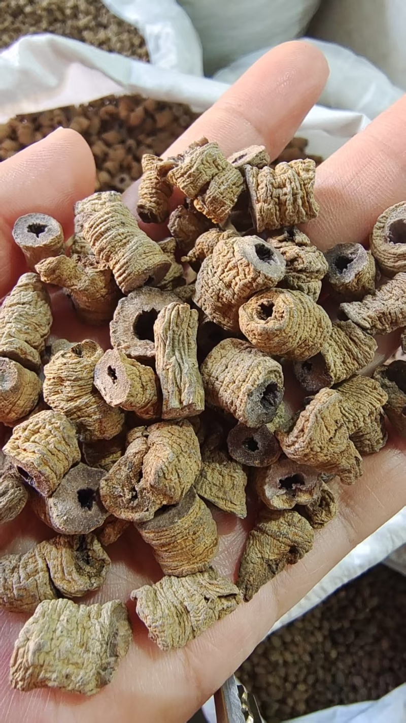 巴戟天巴戟肉抽芯选货量大优惠